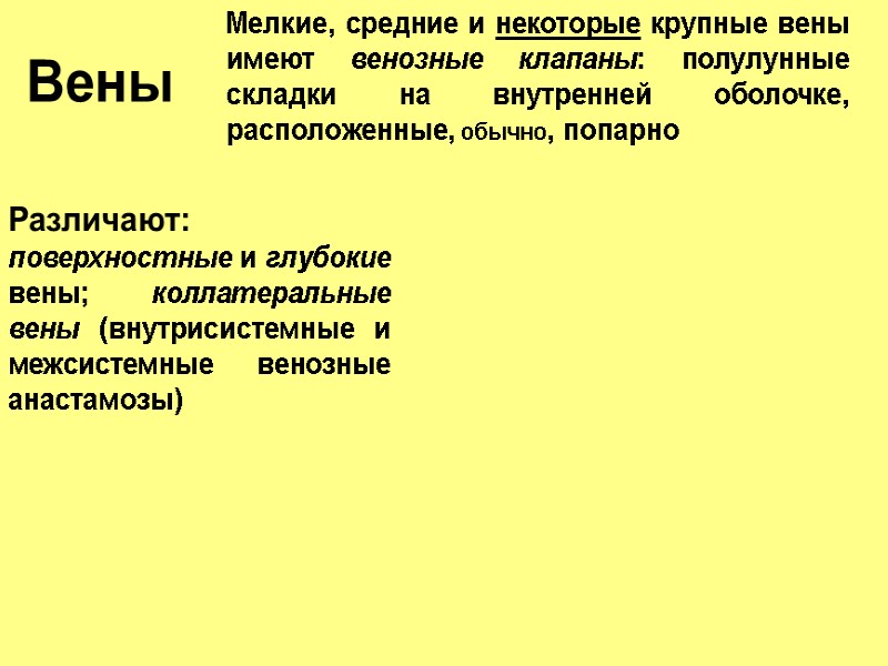 Вены Мелкие, средние и некоторые крупные вены имеют венозные клапаны: полулунные складки на внутренней